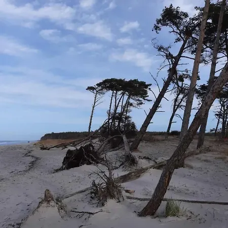 Strandraeuber Strelasund In